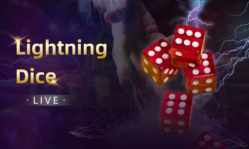 5nn bet